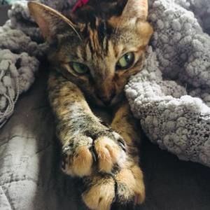 Meet your Posher, Donna